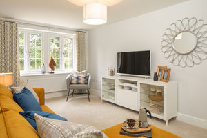 Photo 5- click for photo gallery